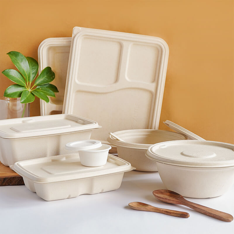 Embracing Ethical and Sustainable Practices: The Benefits of Bagasse Packaging for Food Items